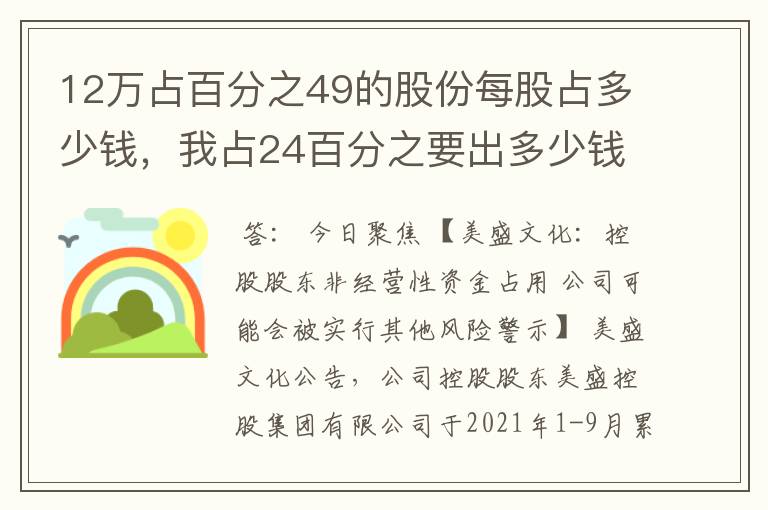 12万占百分之49的股份每股占多少钱，我占24百分之要出多少钱？