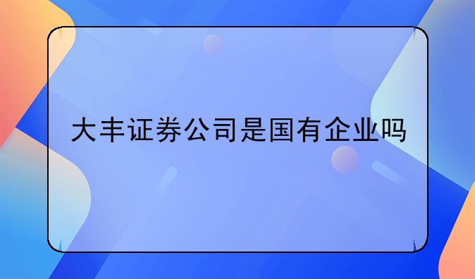 大丰证券公司是国有企业吗