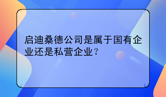 启迪桑德公司是属于国有企业还是私营企业？