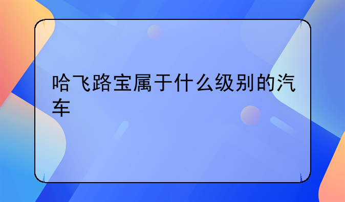 哈飞路宝属于什么级别的汽车